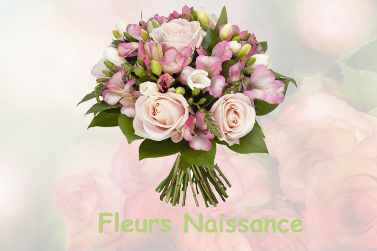 fleurs naissance ESCLES-SAINT-PIERRE